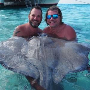 Meet your Posher, Donald